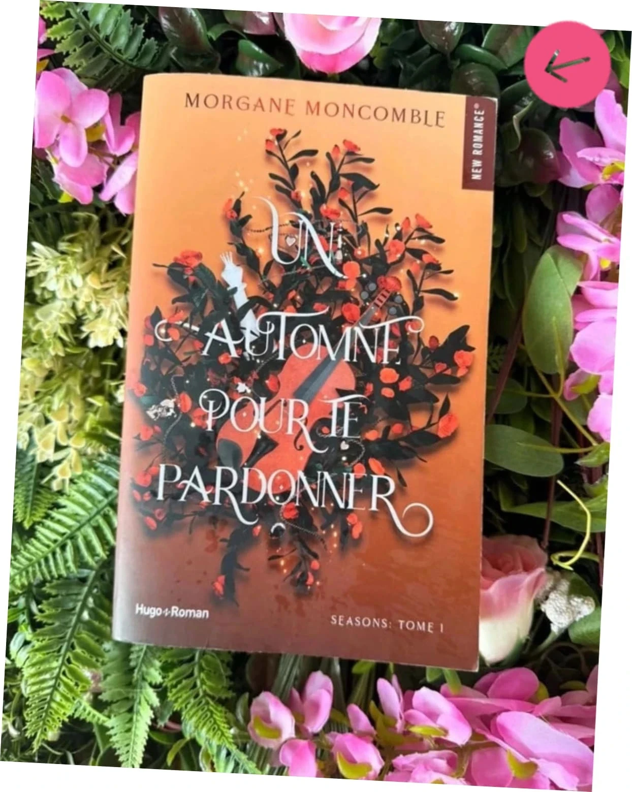 A Fall to Forgive You Morgane moncomble Book – photo 2